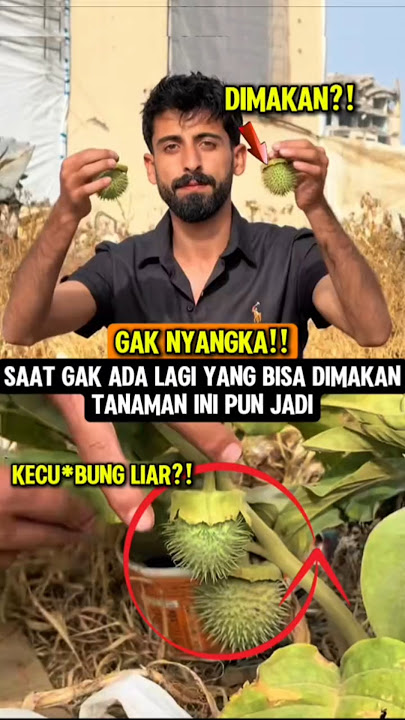 Gak Nyangka‼️inilah bukti keteguhan iman mereka yang luar biasa #keteguhan #iman #muslimpulsee