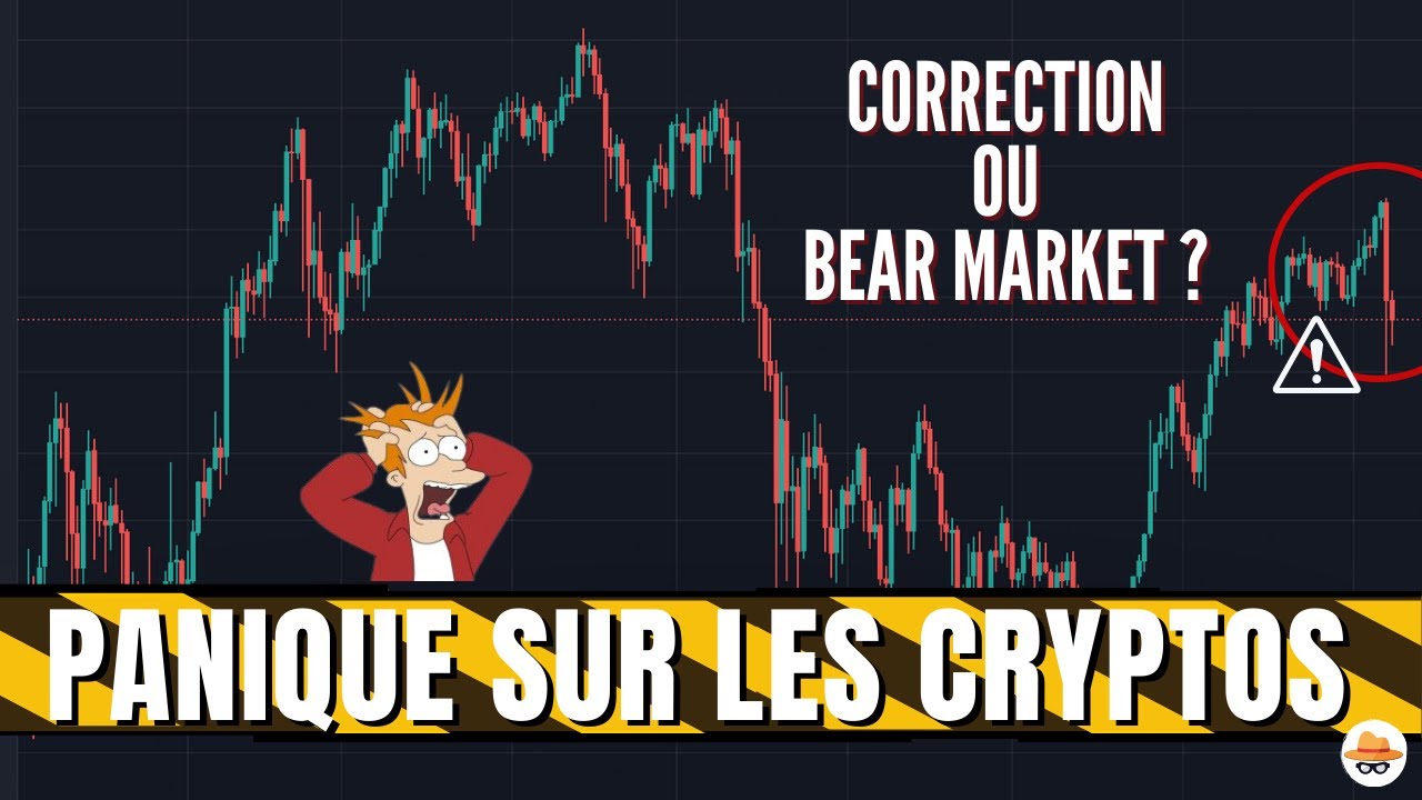 CHUTE des CRYPTOS 💸- CORRECTION 🤑ou BEARMARKET - LIQUIDATION en cascade