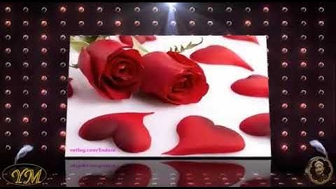 111 Al Masad الشيخ محمد الطبلاوي  سورة المسد