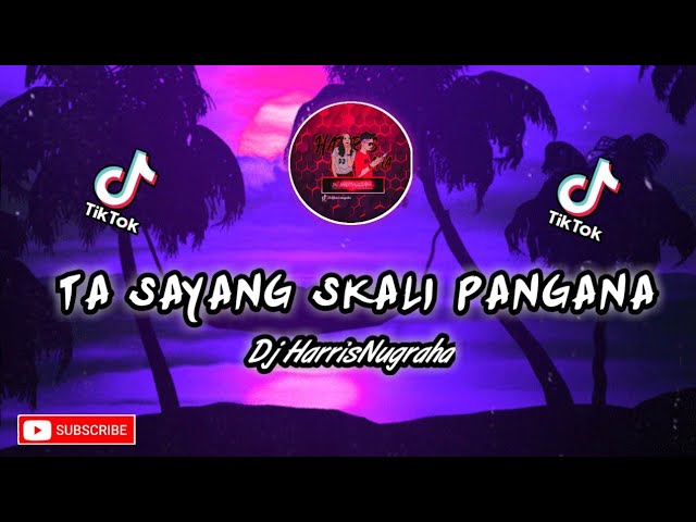 DJ TIKTOK 2020 TA SAYANG SKALI PANGANA - (HARRISNUGRAHA) NEW REMIX Paling Enak FULL!!! class=