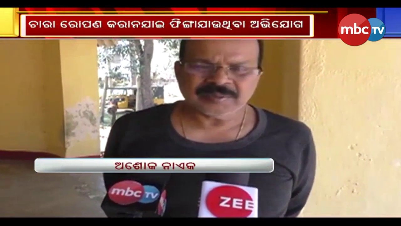 DFO Suspends Two Forester in Kendujhar || Failure to Comply duty || MBCtv DFO Suspends Two Forester in Kendujhar || Failure to Comply duty || MBCtv