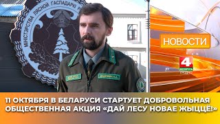 11 октября в Беларуси стартует добровольная общественная акция «Дай лесу новае жыццё!»