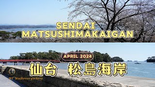 Matsushima 松島 One Of The Three Most Scenic Spots Of Japan 日本三景之一 Miyagi Prefecture 宮城縣