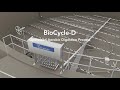 BioCycle-D: Your Reimagined Approach to Aerobic Digestion