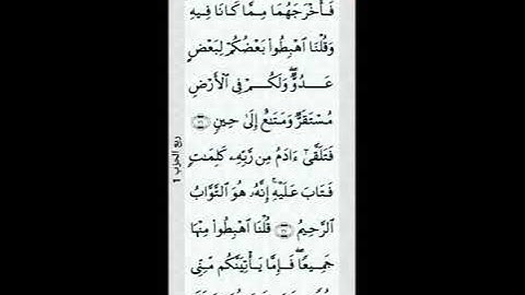 كل يوم صفحة من القرآن الكريم تملأ القلب ربيعاً