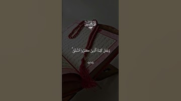 تلاوة هادئه تريح القلب ❤ قران كريم ❤ قرآن ❤قران ❤ تلاوة خاشعة ❤أرح سمعك ❤ short ❤