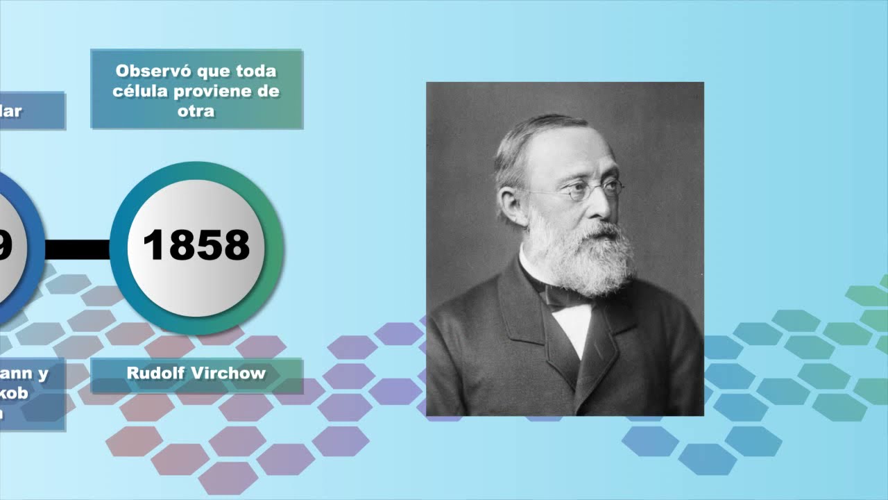 32 Una Revolucion En El Conocimiento El Microscopio Youtube
