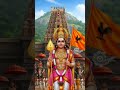 Which Zodiac Signs Have the BLESSINGS of God #shorts #tamil #viralvideo #google #astrology #trending