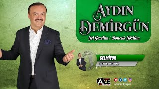 Aydın Demirgün - Gelmiyor Resimi