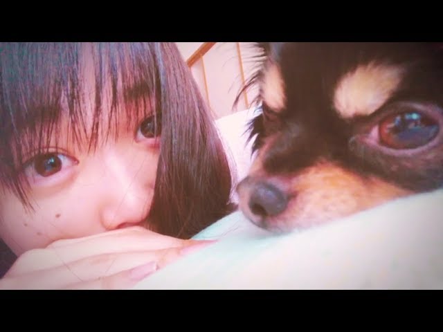 欅坂46 石森虹花　＜自撮りＴＶ＞