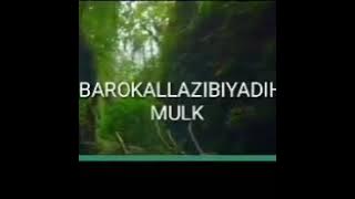 AL MULK (RUMI) SURAH YANG DAPAT MEMBANTU DI BARZARK