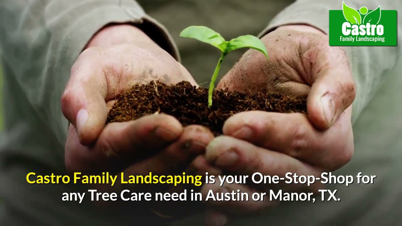 stump removal allen, Lancaster TX