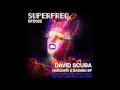 SFD022: David Scuba - Now What (Jonra E:Machinery Remix)