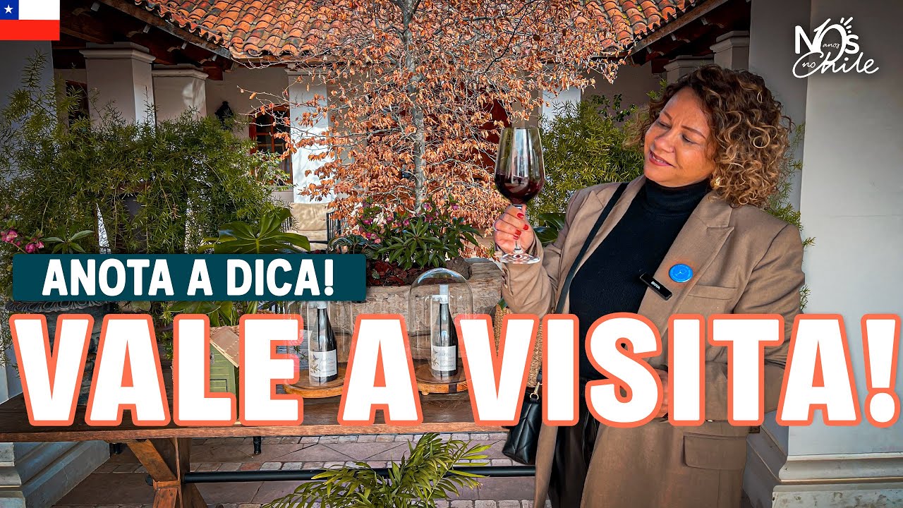 A melhor vinícola do Chile? 🍷 Casas del Bosque + Almoço surpreendente no restaurante Tanino! 🇨🇱