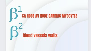 Beta Adrenergic Receptors