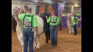 Battle Of The Cattle 2023 Showmanship