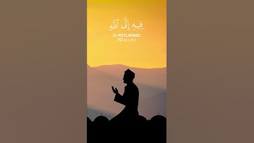 سورة البقرة - د/عادل أحمد زكي