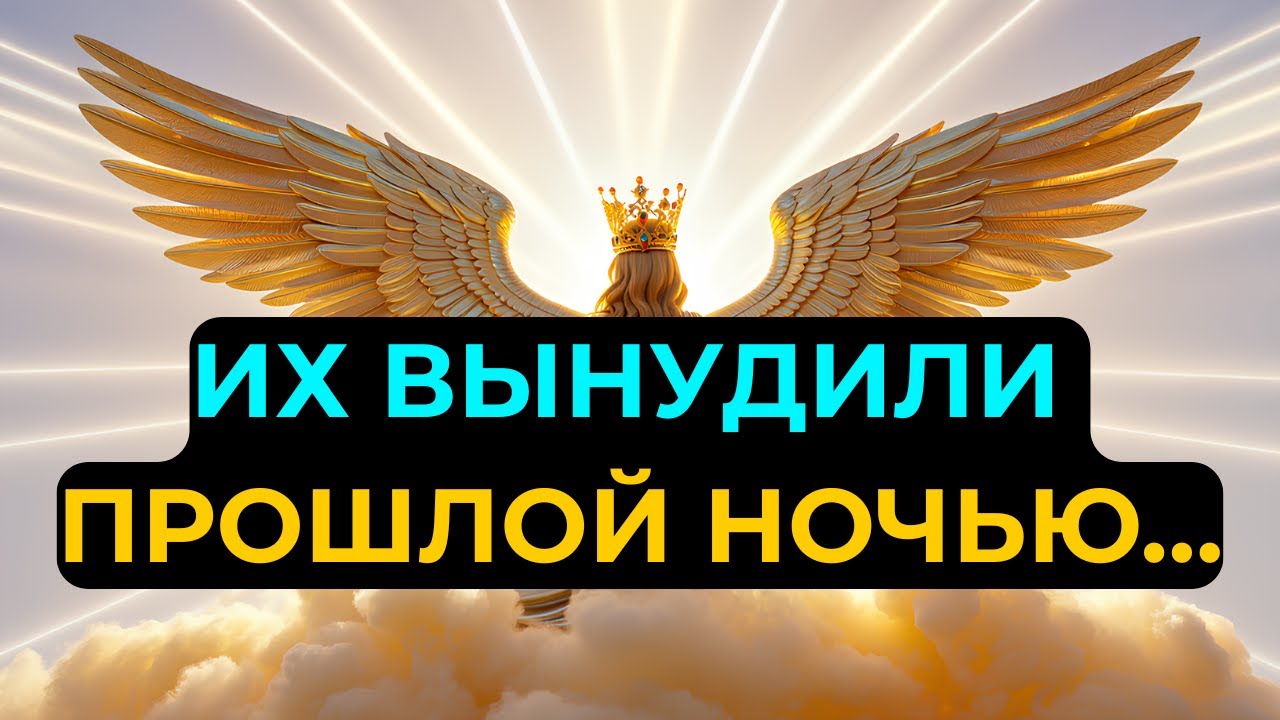 Избранные: Твоего человека вынудили сделать шаг прошлой ночью…