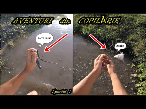 Video: Cum Să Pescuiești Cu Mâinile
