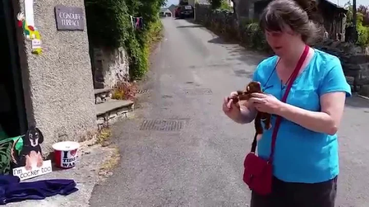Claire wrecks Monkey