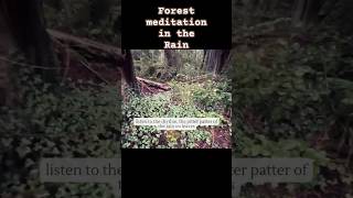 Forest Meditation No.2 full video link below