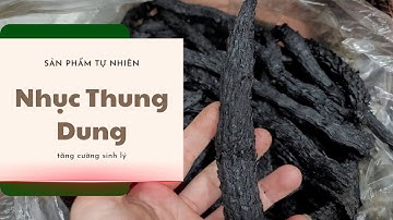 Nhục Thung Dung Ngâm Rượu - Giá Tháng 4/2024 | Zalo: 0868.184.777