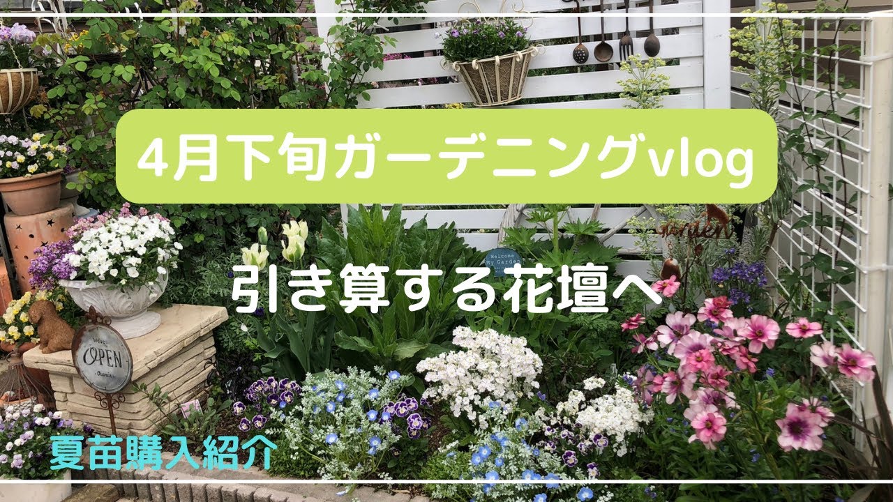 4月下旬ガーデニングvlog モサモサ花壇を引き算する 夏苗の購入紹介 Youtube