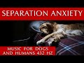 Separation Anxiety Music for Dogs and Humans | 432 Hz