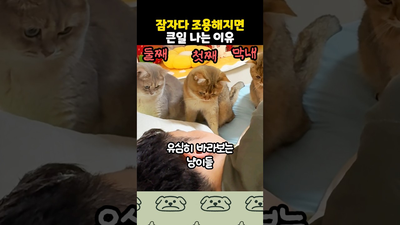 계속 코 골라고...!