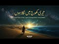 Teri Khoj Mein Nikla Hoon Emotional Sufi Song Imran Haider Saaz E Faqr