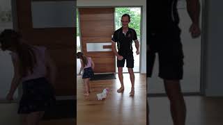 Dad And Daughter Dance With Pets Alive Boppi