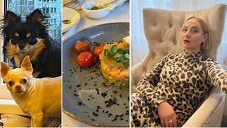 видео: ВЛОГ - LUX oтдых в Латвии. Сезон шашлыка открыт. У собак новый транспорт. Весна во всю. картинка: ВЛОГ - LUX oтдых в Латвии. Сезон шашлыка открыт. У собак новый транспорт. Весна во всю.