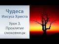 Чудеса Иисуса Христа - 3. Проклятие смоковницы