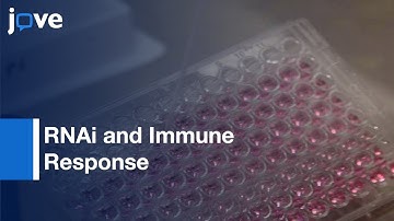 RNAi to Investigate the Innate Immune Response | Protocol Preview