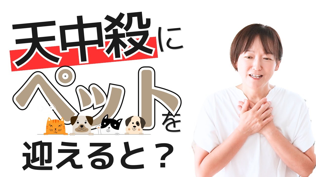 【算命学】ペットにも影響が？【天中殺にペットを迎えたらどうなるの？】