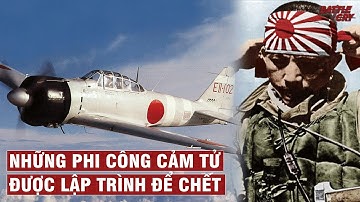 PHI CÔNG THẦN PHONG KAMIKAZE CỦA NHẬT VÀ LỐI ĐÁNH CẢM TỪ ĐẦY KINH HOÀNG | LỊCH SỬ CHIẾN TRANH #45