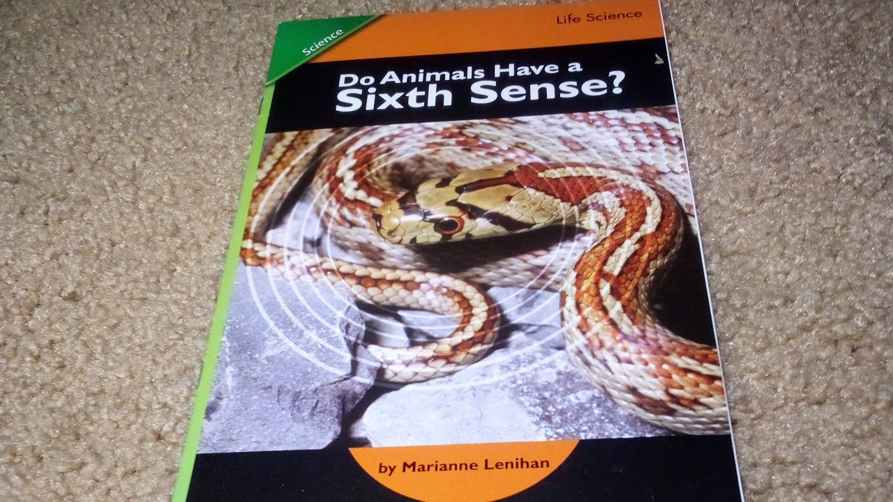 do animals have a sixth sense