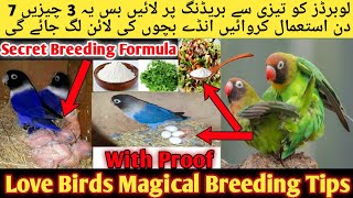 Love Birds Fast And Megical Breeding Formula 2022-2023 l Love Birds Fast And Secret Breeding Tips screenshot 1