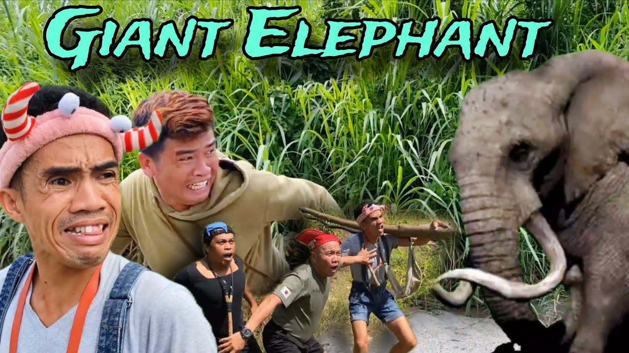Giant Elephant | Giant Pintik