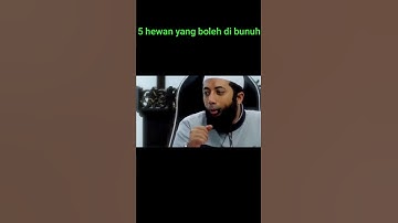 5 hewan yang boleh di bunuh