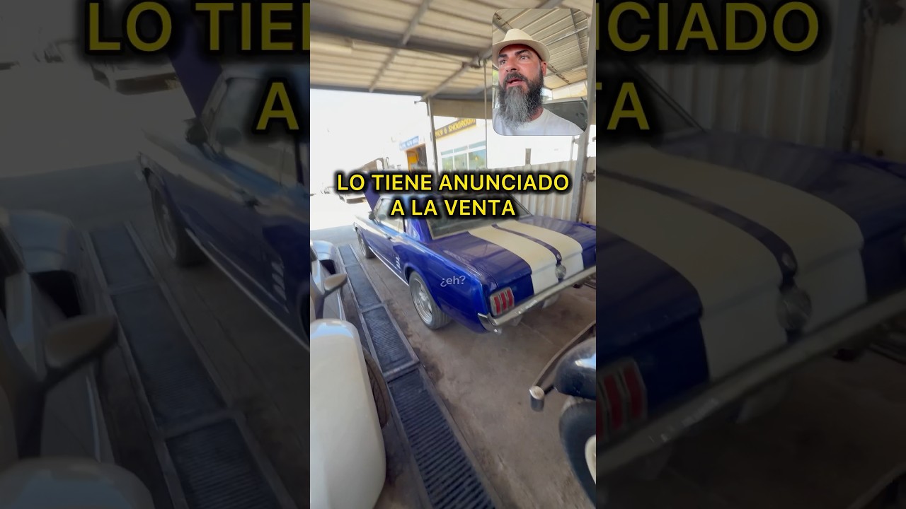 Que te parece el precio de este Mustang 66?