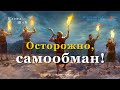 Елена Шуб  -  Осторожно, самообман!