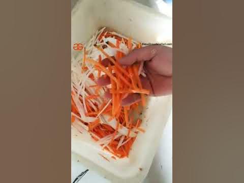 Carrot Shredder MachineCarrot Shredding Machine 