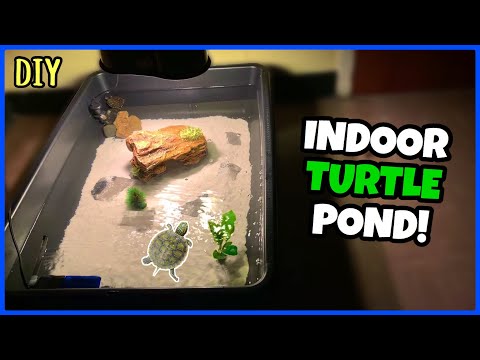 diy-mini-indoor-turtle-pond!