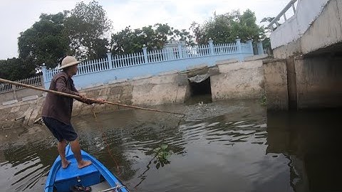 Kích Cá Dọc Khúc Sông Lớn Gặp Ngay Cống Nước Tụ Nhiều Cá Lớn Hớt Không Kịp Tay