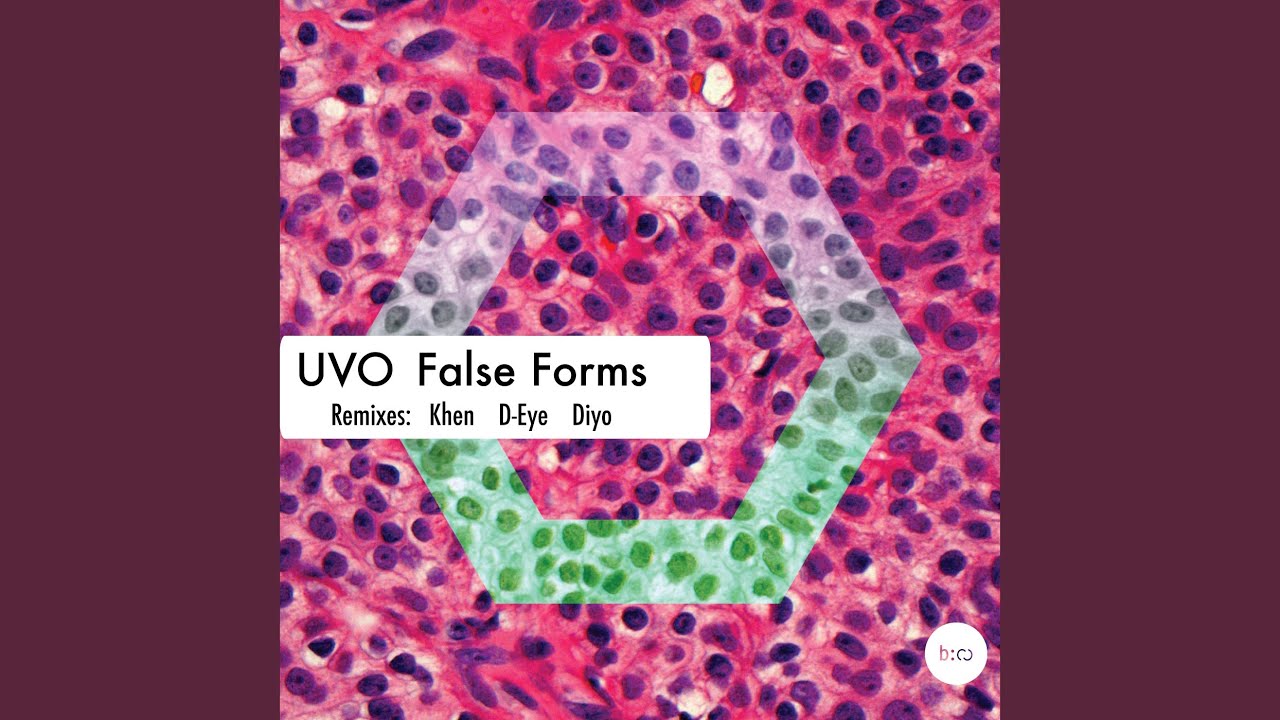 Watch False Forms on YouTube Watch False Forms on YouTube