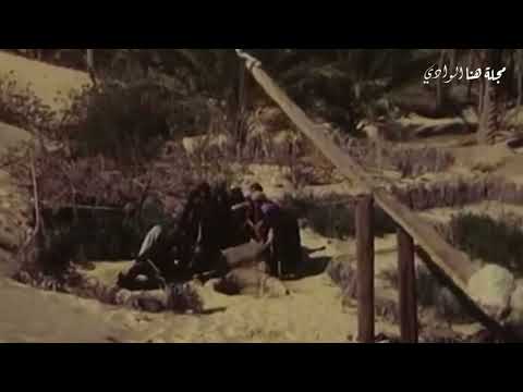 مقطع من فيلم مغامرات بطل  التي دارت أحداثه في مدينة الوادي