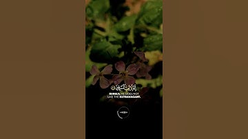 تلاوة خاشعة لا توصف بجودة عالية بصوت القارئ يوسف عثمان راحة نفسية حالات واتس اب من سورة الاعراف...