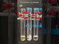 ❓Cómo sabe el 🧪ÁCIDO si es 🪙ORO u otro METAL🔩 #chemistry #tuorovalemás #ácido