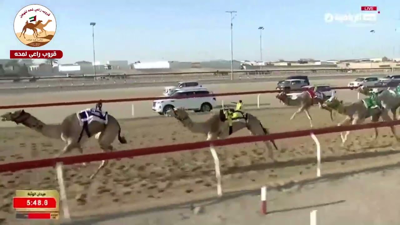 الشوط 8..شاهين لـ صالح علي ياسر الجحافي  9:13:53 ( تمهيدي الوثبة 2026 )